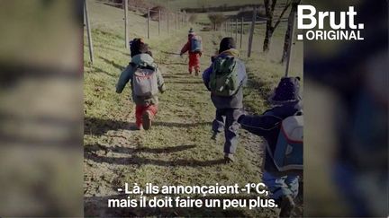 Ils ont entre 2 et 6 ans, et leur école, c'est la forêt. Qu'il pleuve ou qu'il neige, chaque jour en Charente, ces élèves de maternelle font la classe au contact de la nature. Une autre façon d'apprendre.