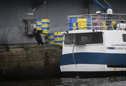 Le bateau d'un pêcheur à quai à Lorient, dans le Morbihan, en janvier 2024, pendant le mois d'interdiction de la pêche dans le Golfe de Gascogne. (LOIC VENANCE / AFP)