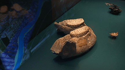 "Surfaced- Cascades mystérieuses de Bâle" Une exposition sur les découvertes de l'eau de Bâle. 
 (France 3 / Culturebox )