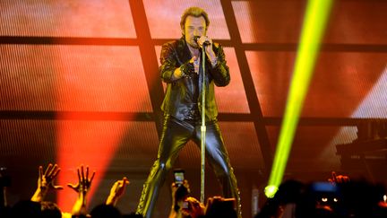 Le chanteur Johnny Hallyday en concert &agrave; Bordeaux (Gironde), le 2 juin 2013. (NICOLAS TUCAT / AFP)