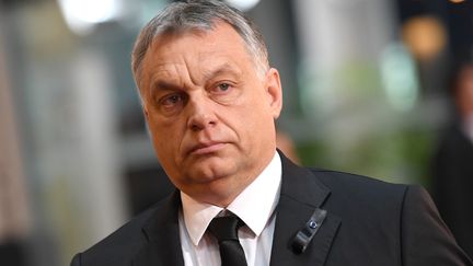 Viktor Orban, Premier ministre hongrois. (SVEN HOPPE / DPA)