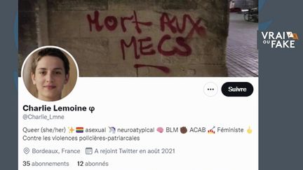 Des comptes Twitter se faisant passer pour des militants anti-racistes seraient en réalité de faux comptes. Vrai ou Fake ? (CAPTURE ECRAN / FRANCEINFO)