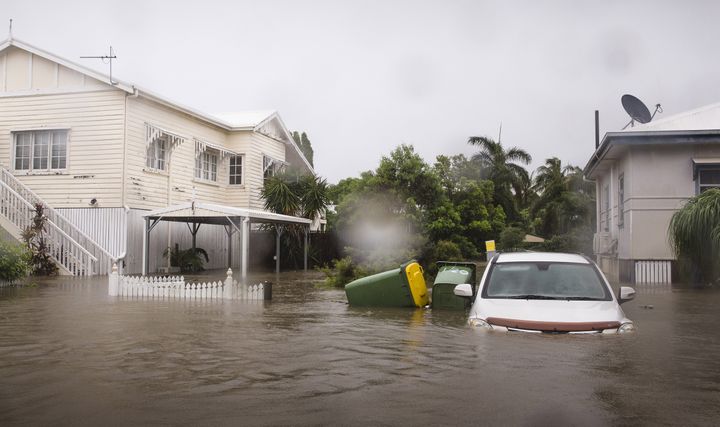 &nbsp; (ANDREW RANKIN / AAP)