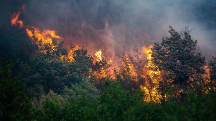 Un feu de forêt&nbsp;à Voreppe, en Isère, le 8 août 2022. (NICOLAS LIPONNE / HANS LUCAS / AFP)