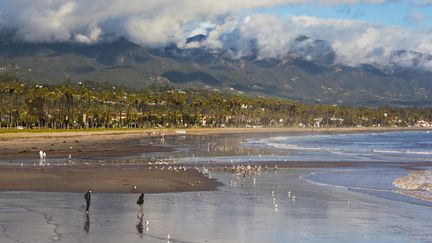 C'est pr&egrave;s de la c&ocirc;te de Santa-Barbara, en Californie (Etats-Unis), que des chercheurs ont d&eacute;couvert un antibiotique naturel. (DANITA DELIMONT / GALLO IMAGES / GETTY IMAGES )