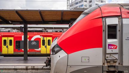 Un train en gare de Toulouse Matabiau, le 22 novembre 2023. (JEAN-MARC BARRERE / HANS LUCAS)