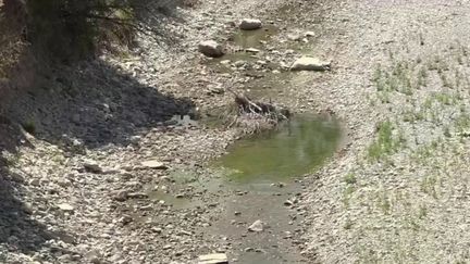 Lundi 1er août, la sécheresse continue de frapper durement la France.&nbsp;Si les sols sont asséchés, dans certaines rivières, il n’y a même plus d’eau sur plusieurs kilomètres comme dans la Drôme.&nbsp;La situation pourrait bien s’aggraver avec la nouvelle vague de canicule qui arrive sur l’Hexagone. (FRANCE 2)