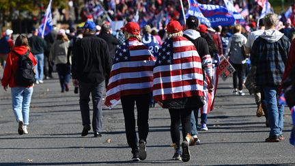 Des manifestants pro-Trump participent à un rassemblement à Washington, aux Etats-Unis, le 14 novembre 2020. (ANDREW CABALLERO-REYNOLDS / AFP)