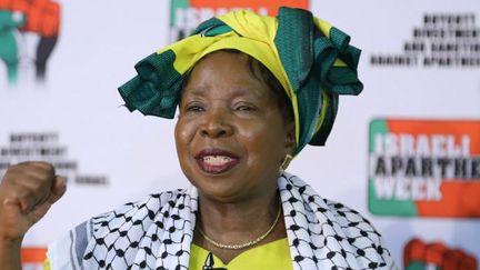 Nkosazana Dlamini-Zuma, le 27 mars 2017. (Erasmus Nche / ANADOLU AGENCY / AFP)