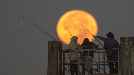 Des personnes pêchent durant la "super Lune", à Rebondo Beach (Etats-Unis), le 14 novembre 2016. (DAVID MCNEW / GETTY IMAGES NORTH AMERICA / AFP)