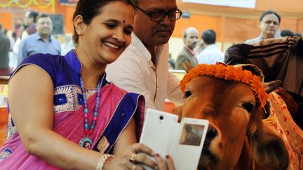 Une femme prend un selfie avec une vache à Calcutta (Bengale-Occidental), dimanche 20 décembre 2015. (HINDUSTAN TIMES / HINDUSTAN TIMES)