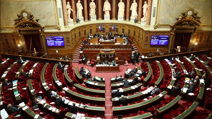 L'hémicycle du Sénat, en novembre 2018. (LUC NOBOUT / MAXPPP)