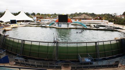 Le bassin des orques, au parc Marineland, &agrave; Antibes (Alpes-Maritimes), le 6 octobre 2015. (JEAN CHRISTOPHE MAGNENET / AFP)