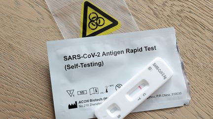 Un test antigénique contre le Covid. Image d'illustration. (FRANCOIS DESTOC / MAXPPP)