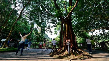 L’autre grand pari de ce jardin était aussi de faire rencontrer l’homme et le végétal. Des programmes d’éducation et de préservation du patrimoine culturel des jardins étaient parties prenantes de leur conception.

Ils participaient notamment à la recherche et la conservation de la diversité biologique. (AFP PHOTO / ROSLAN RAHMAN  )