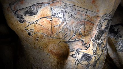 Des félins peints sur les murs de la grotte Chauvet (Ardèche). (SYLVIE CAMBON / MAXPPP)