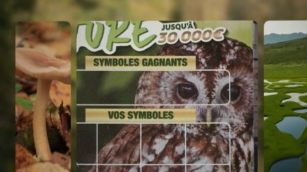 Le loto pour la biodiversité est un jeu de grattage accessible dans les bureaux de tabac. Il vise à restaurer des sites menacés sur le territoire français. La deuxième saison a été lancée le 28 octobre. (France 2)