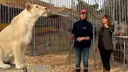 Lorraine Gublin avec Frédéric Edelstein dans la cage aux lions
 (France2/culturebox)