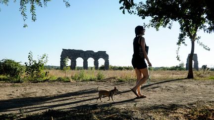 Photo d'illustration présentant une femme en train de promener son chien dans un parc près de Rome (Italie), le 28 juillet 2017. (ANDREAS SOLARO / AFP)