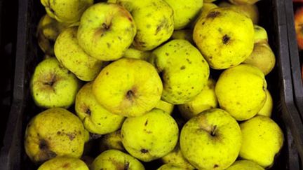 La pomme est le fruit le plus vendu en France. (AFP - Mychele Daniau)