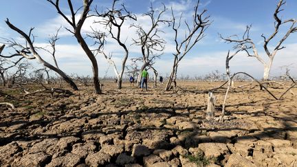 Un homme marche sur le sol de la rivière Pilcomayo, victime d'une grave sécheresse, à la frontière entre le Paraguay et l'Argentine, le 3 juillet 2016. (JORGE ADORNO / REUTERS)