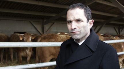 Benoît Hamon défend une transition écologique d'ici 2025, lors d'une visite dans une ferme bio de Seine-et-Marne en février 2017. (PASCAL LACHENAUD / AFP)