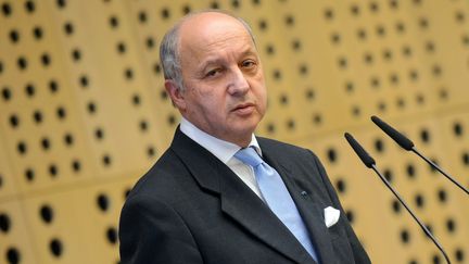 Le ministre des Affaires &eacute;trang&egrave;res, Laurent Fabius, le 23 avril 2015 &agrave; Brdo (Slov&eacute;nie). (JURE MAKOVEC / AFP)