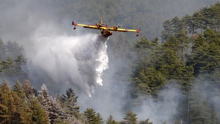 Un Canadair survole un incendie pour&nbsp;tenter de l'éteindre, à Palneca, en Corse, le 3 août 2017. (PASCAL POCHARD-CASABIANCA / AFP)