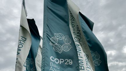 Le logo de la COP29 à Bakou, en Azerbaïdjan, le 17 septembre 2024. (JAKUB PORZYCKI / NURPHOTO / AFP)