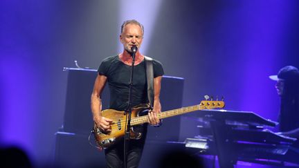 Sting&nbsp; (SEBASTIEN LAPEYRERE / MAXPPP)