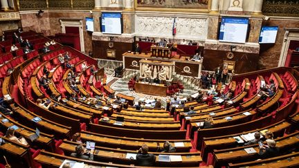 Discussion sur le projet de loi de régulation de l'espace numérique à l'Assemblée nationale, le 11 octobre 2023. (LAURE BOYER / HANS LUCAS / AFP)