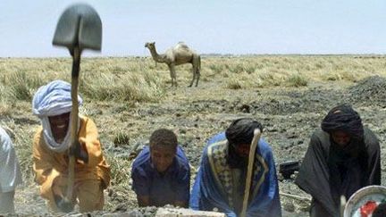 Touaregs travaillant à la construction d'une digue pendant la saison sèche, le 10 mai 2002 près de Tombouctou (nord du Mali). (AFP - GEORGES GOBET)