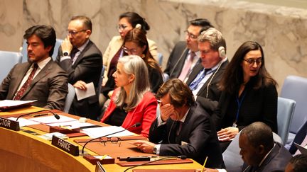 L'ambassadeur français aux Nations unies Nicolas de Rivière, lors d'un vote sur un cessez-le-feu immédiat à Gaza, le 8 décembre 2023 à New-York (Etats-Unis), au siège de l'ONU. (CHARLY TRIBALLEAU / AFP)