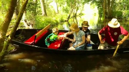 Tourisme : à la découverte du Marais poitevin, la Venise verte