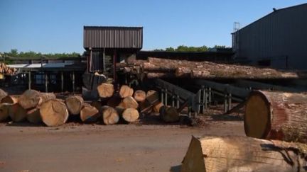 Les industriels du bois lancent une grande pétition pour sauver la scierie française. La France exporte son bois vers la Chine, et par conséquent, les scieries s’inquiètent pour leur avenir. (CAPTURE ECRAN FRANCE 2)