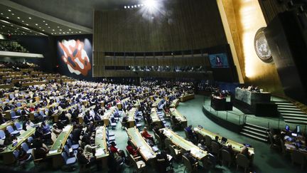 L'assemblée générale de l'ONU est réunie à New-York, aux Etats-Unis, le 21 décembre 2017. (EDUARDO MUNOZ ALVAREZ / AFP)