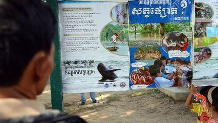 Au nord de Pnom-Penh, la capitale du Cambodge, des habitants regardent un panneau mis en place par les autorités pour informer sur la protection des dauphins du Mékong. (TANG CHHIN SOTHY / AFP)