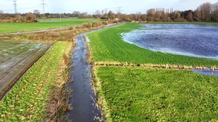 Inondations dans le Pas-de-Calais : l’entretien des wateringues pointé du doigt par les agriculteurs (franceinfo)