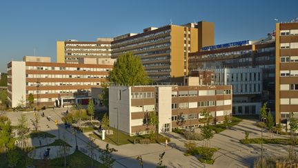 Cette naissance exceptionnelle a eu lieu à l'hôpital d'Hautepierre, à Strasbourg (Haut-Rhin). (JEAN ISENMANN / ONLY FRANCE / AFP)