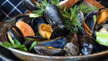 Rappel de moules contenant des toxines paralysantes (Cr&eacute;dits Photo : &copy; Pixabay / RitaE)