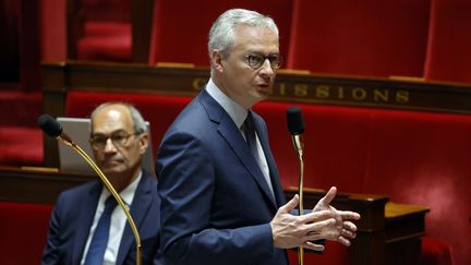 Bruno Le Maire lors d'un débat à l'Assemblée nationale, le 17 avril 2020, à Paris. (THOMAS COEX / AFP)