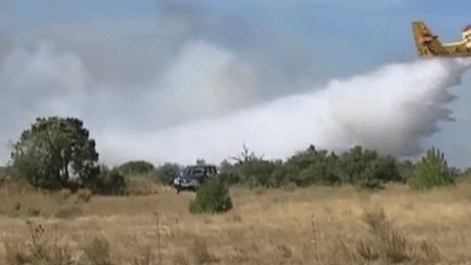 Vacanciers : frôlés par un Canadair