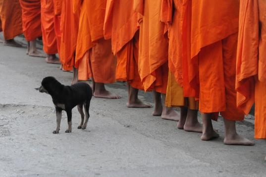 &nbsp; (Laos © Philippe MOLLARET)