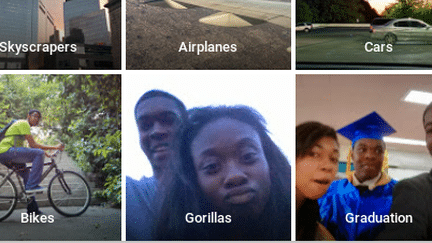 Le nouveau logiciel de reconnaissance faciale de Google a confondu le portrait d'Afro-Am&eacute;ricains avec des gorilles. (GOOGLE PHOTOS)