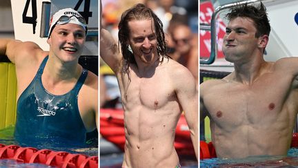 Marie Wattel, Gary Hunt et Maxime Grousset seront présents aux championnats d'Europe de Rome, du 11 au 22 août 2022.&nbsp; (AFP)