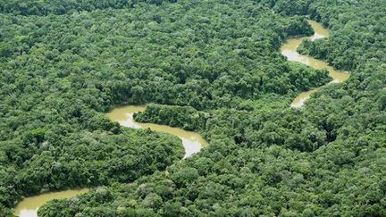 Les méandres de la rivière Guainia dans la jungle colombienne (4 mai 2015) (AFP - Luis Acosta)