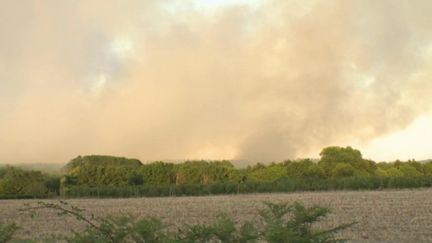 Dans le Maine-et-Loire, près de 600 hectares sont déjà partis en fumée en raison d'un incendie, qui n'est toujours pas fixé, mardi 9 août.&nbsp; (CAPTURE ECRAN FRANCE 3)