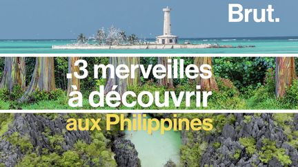 Un arbre à l'écorce multicolore, une rivière souterraine, un récif où aucun poisson n'est victime de la pêche... Ça paraît surréaliste et pourtant, ces lieux existent vraiment.