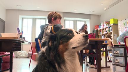 Dans le Bas-Rhin, une école intègre un chien pour apaiser des enfants atteints de troubles autistiques