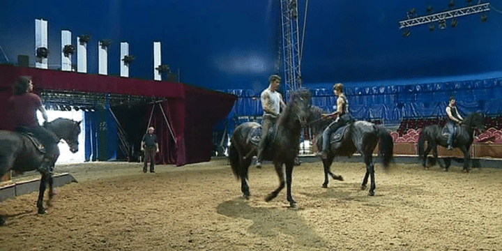 Les petits-fils d'Alexis Gruss répètent avec leur grand-père. 
 (France 3/ Culturebox)